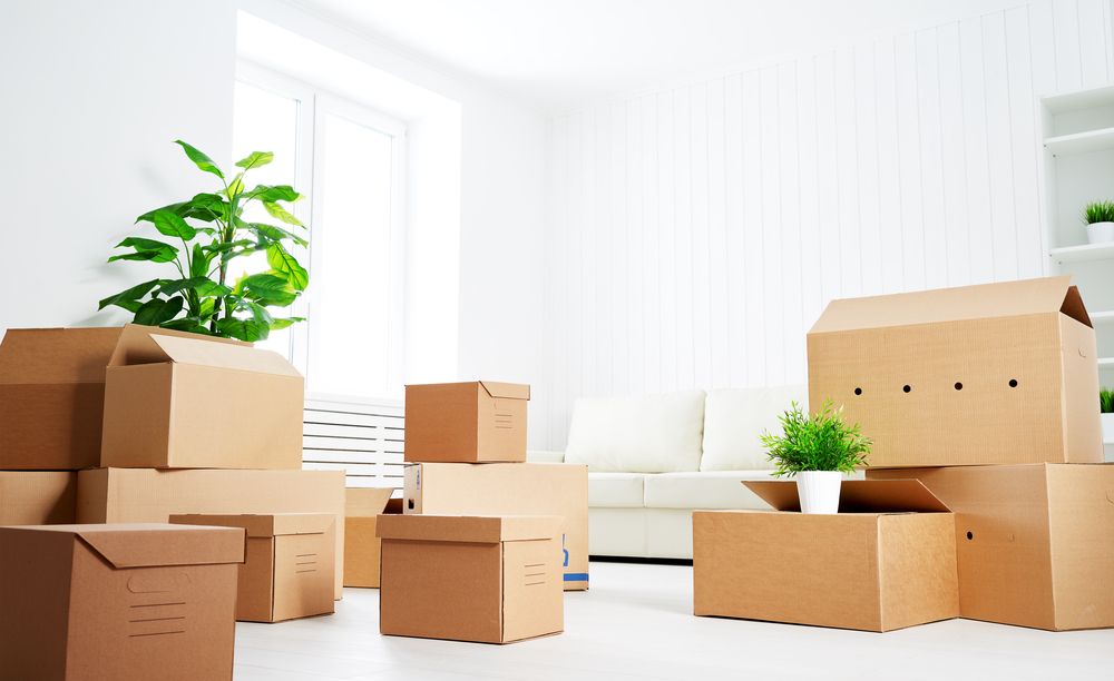 15 idées pour dénicher des cartons de déménagement gratuits